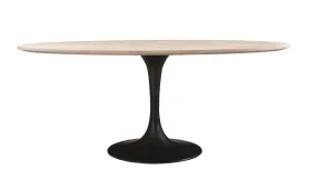 Aspen Oval Dining Table | Metal Base