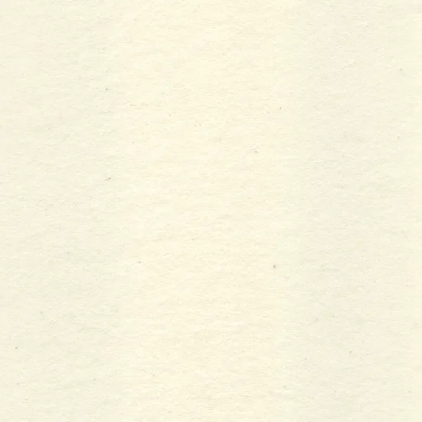 Ivory Cotton Flannel Fabric