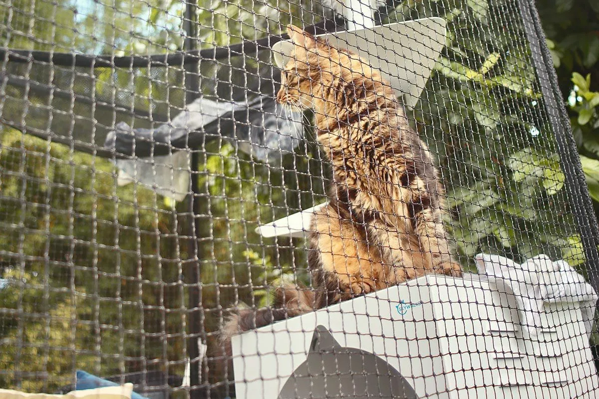 Lite Tower Portable Cat Enclosure 2.3m Height