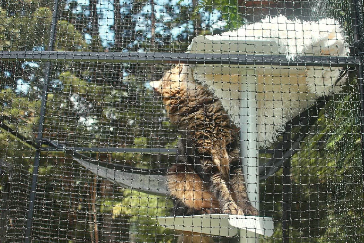 Lite Tower Portable Cat Enclosure 2.3m Height