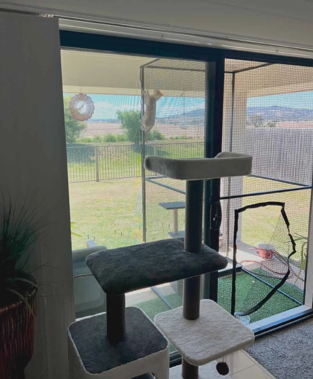 Lite Tower Portable Cat Enclosure 2.3m Height