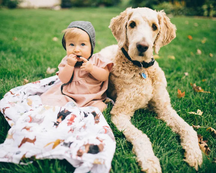 Little Unicorn Cotton Muslin Swaddle Set / Woof