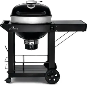 Professional 22 Charcoal Cart

22-inch Kettle Grill with Cart By Napoleon