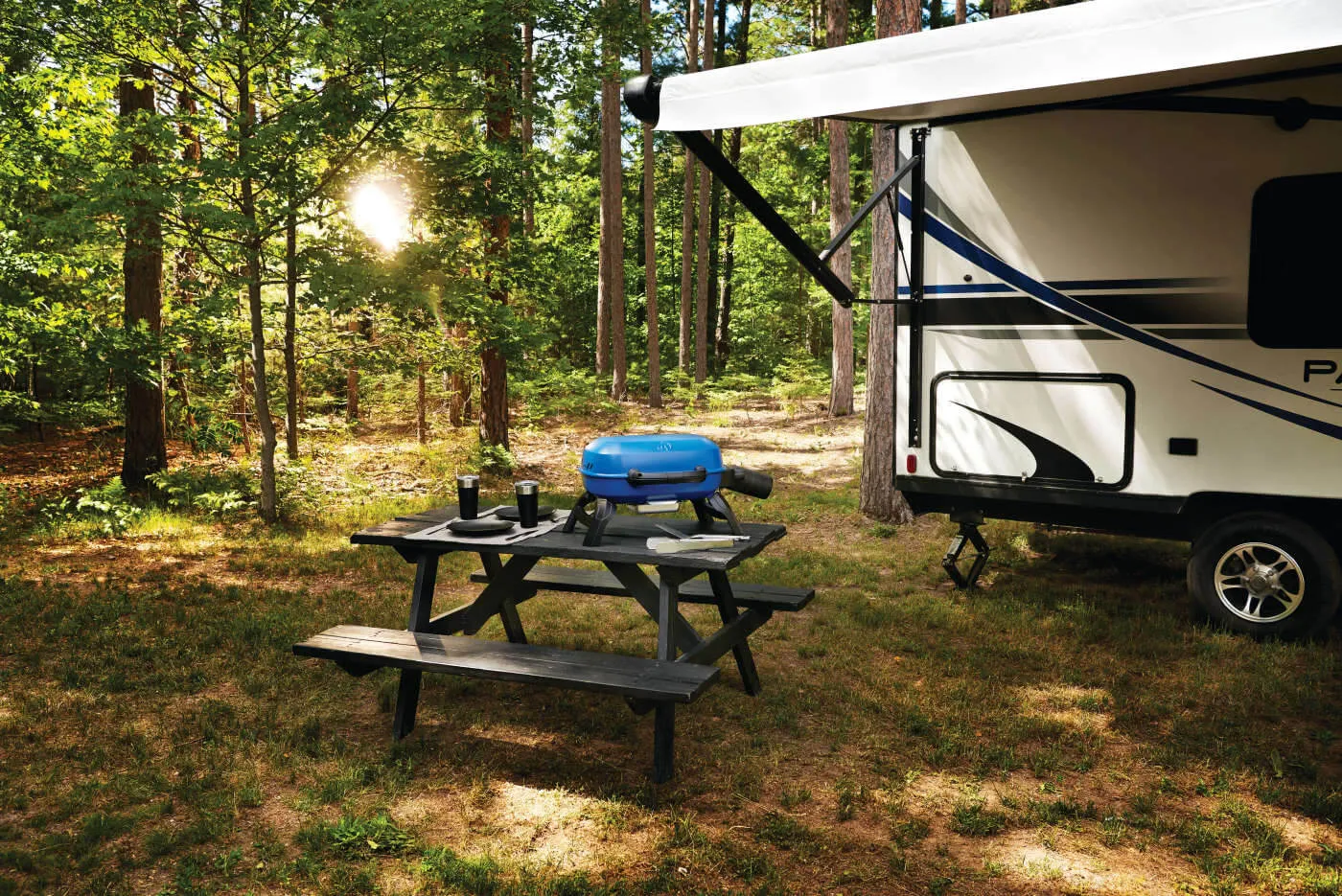 TravelQ™ 240 Portable Gas Grill By Napoleon
