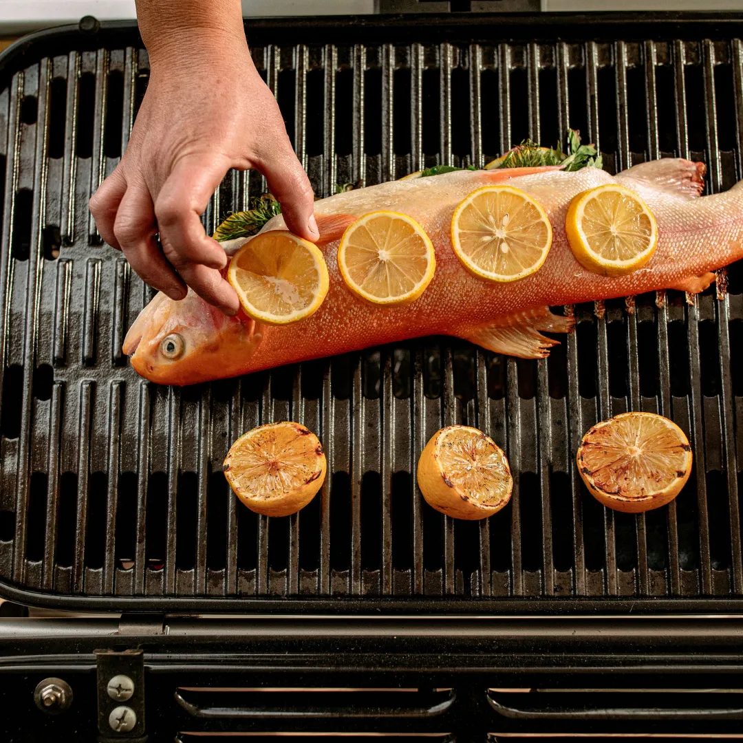 Weber Traveler Black Gas BBQ